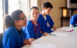 Undergraduate nursing students