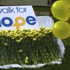 walk_for_hope_web_2013