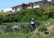 permaculture "Permaculture for the People"; Photo by planet a. via Flickr.