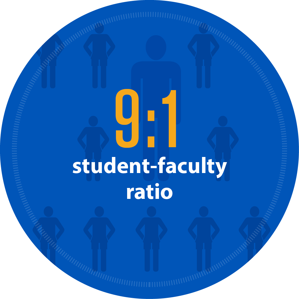 9:1 student to faculty ratio