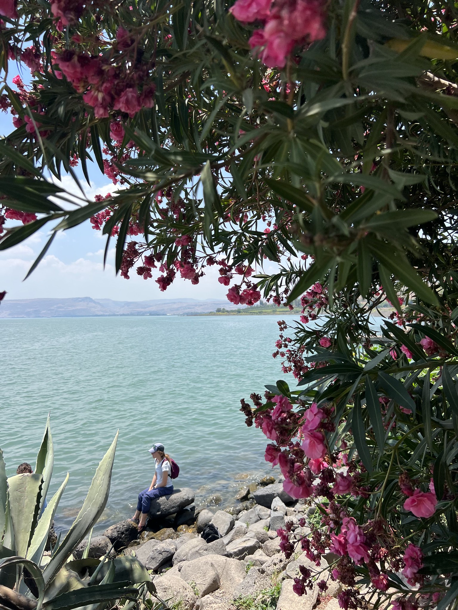 On the Sea of Galilee