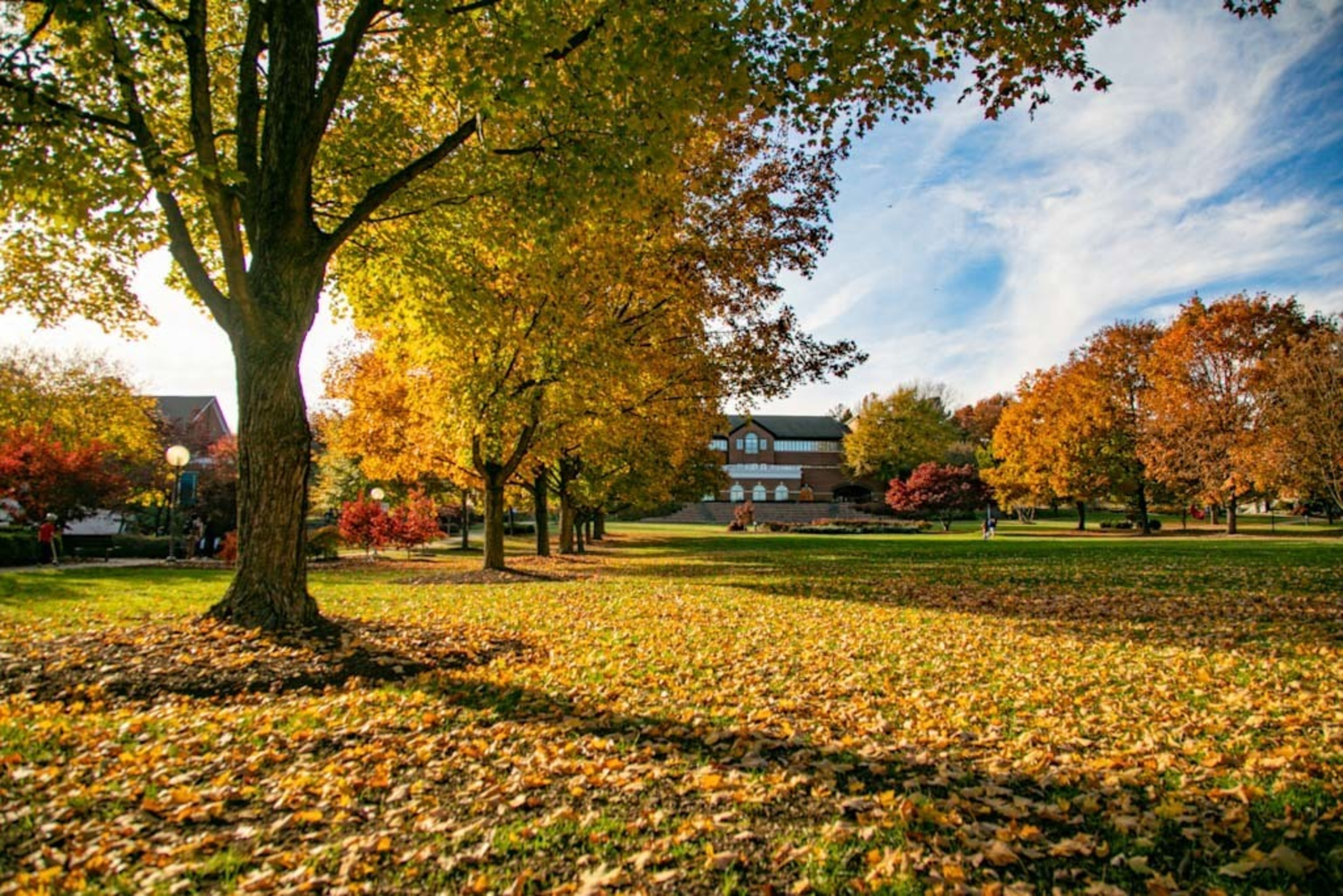 fall campus colors