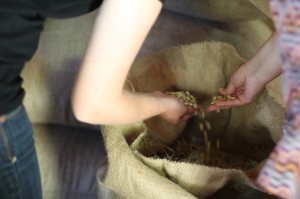 We took a ferry across the lake to San Juan La Laguna and toured an organic coffee plantation