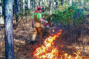 Chris Field-Johnson activates a controlled burn at Piedmont Earthworks. 