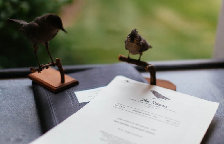 What is the paradox about the companion of a man with no protectors picture