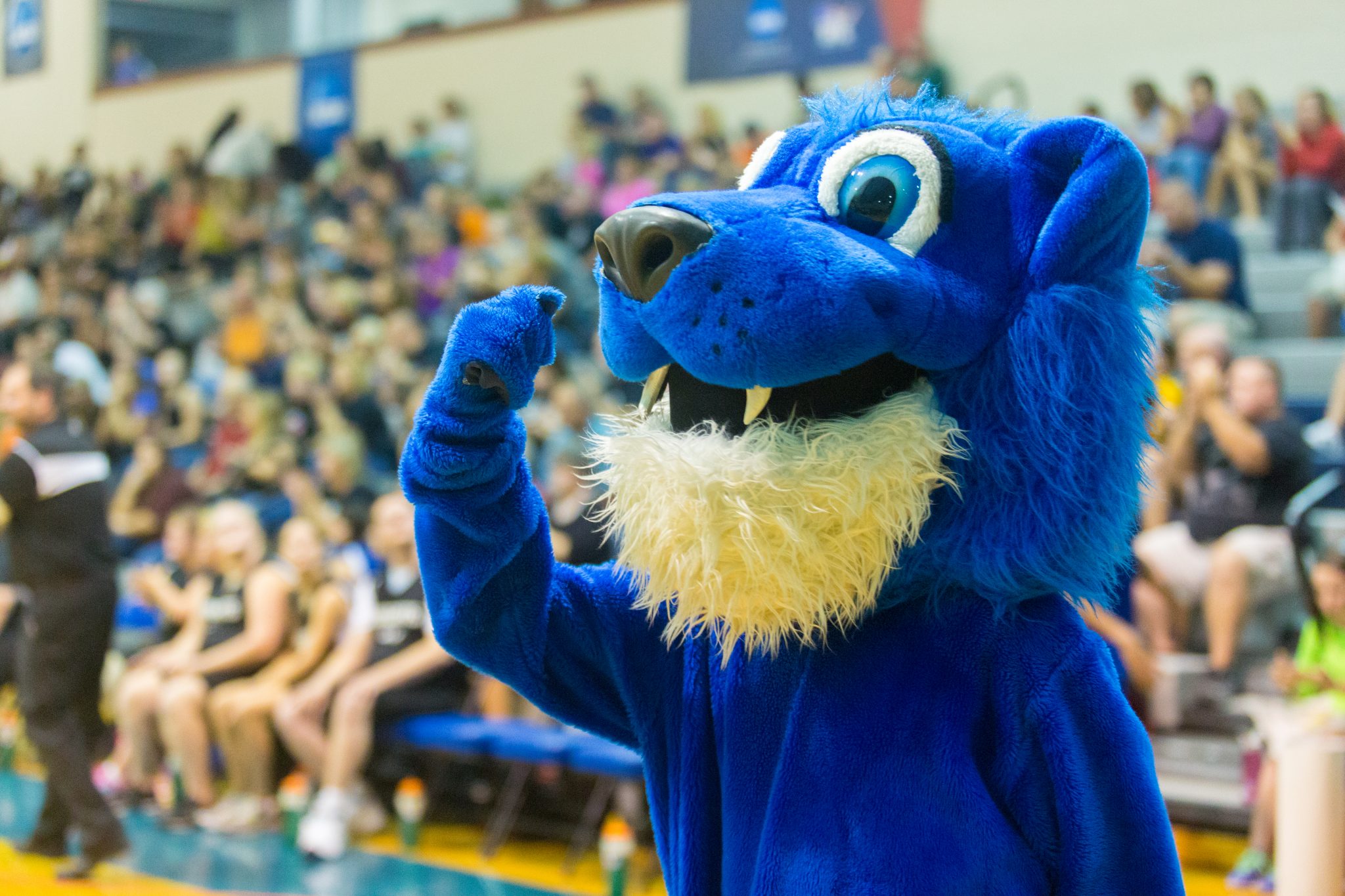 The unofficial history of Herm, EMU's mascot - EMU News