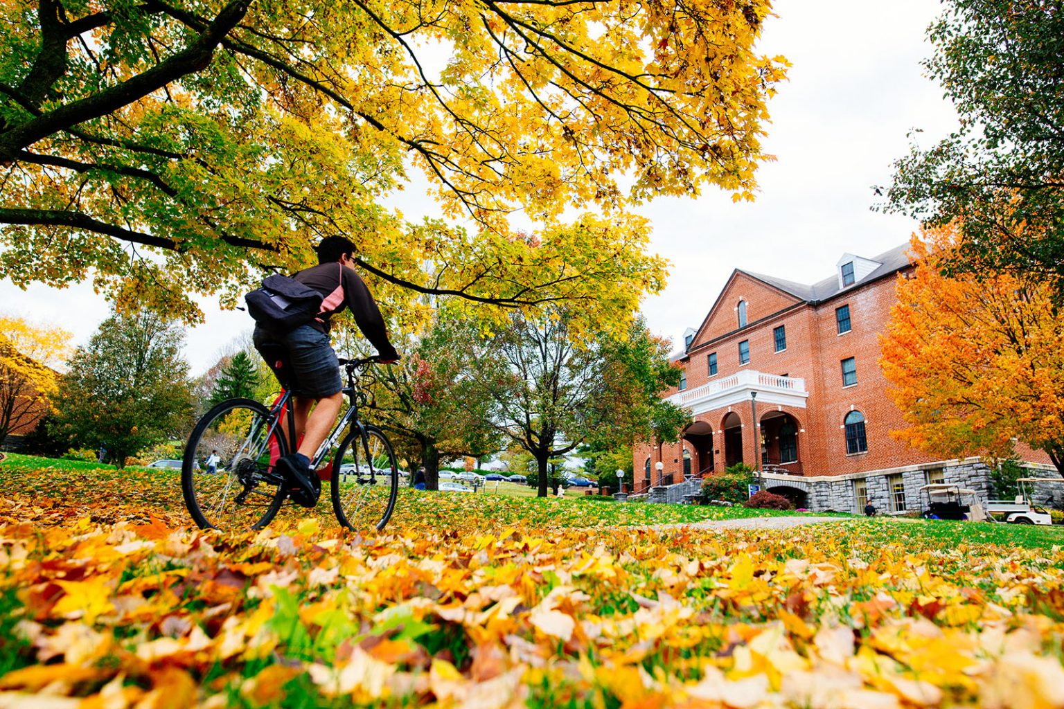 EMU sees growth across undergrad, grad programs EMU News