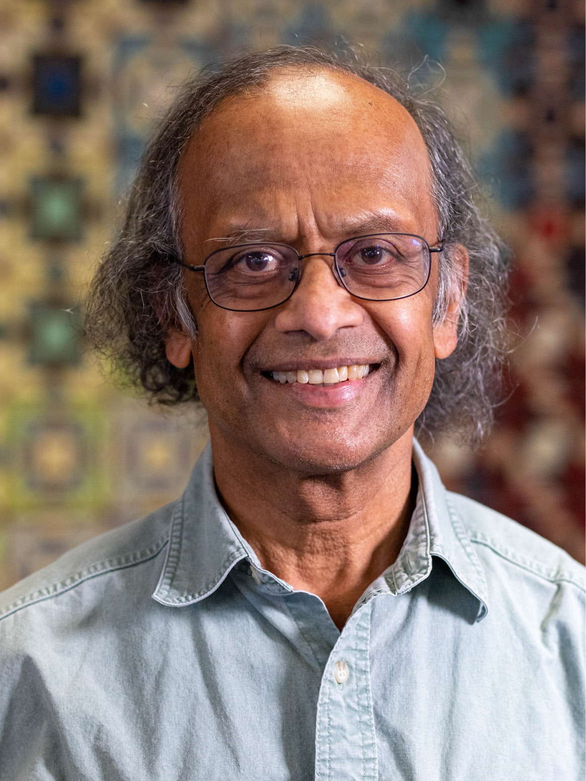 Rajarshi Roy, trustee