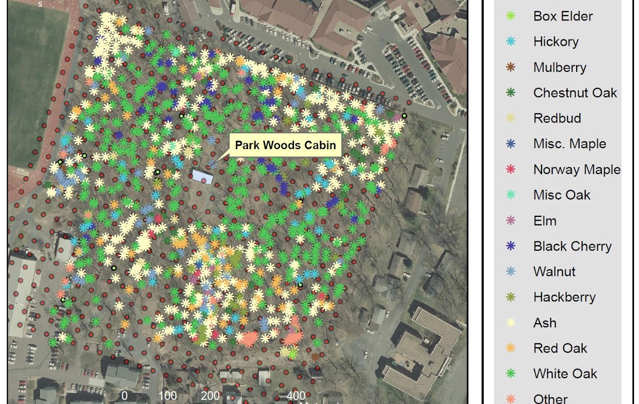 Parkwood Tree Map