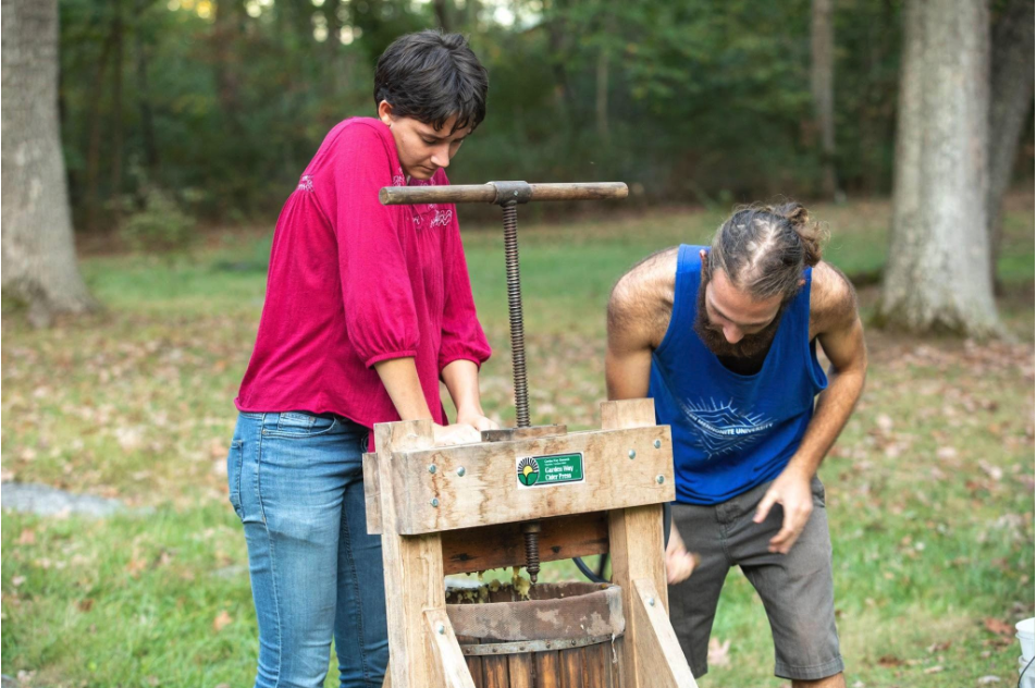 Two students press apples for cider at a cider press